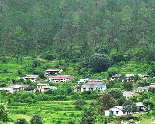 Holiday Village Resort room3